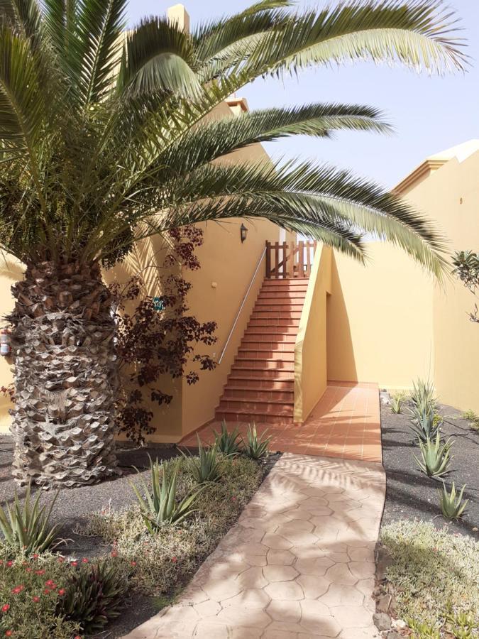 Апартаменты Oasis Waves House Papagayo Коральео Экстерьер фото